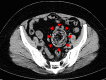 Fig. 1.