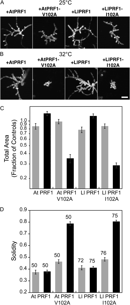 Figure 5.