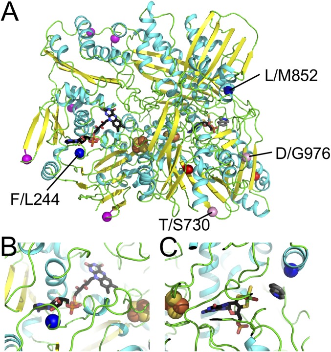 Fig. 5.