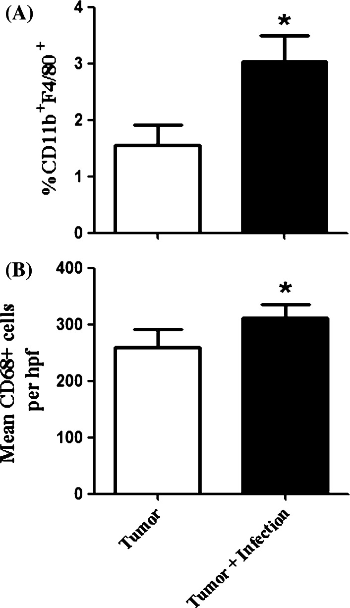 Fig. 6