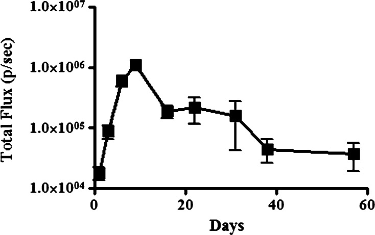 Fig. 1