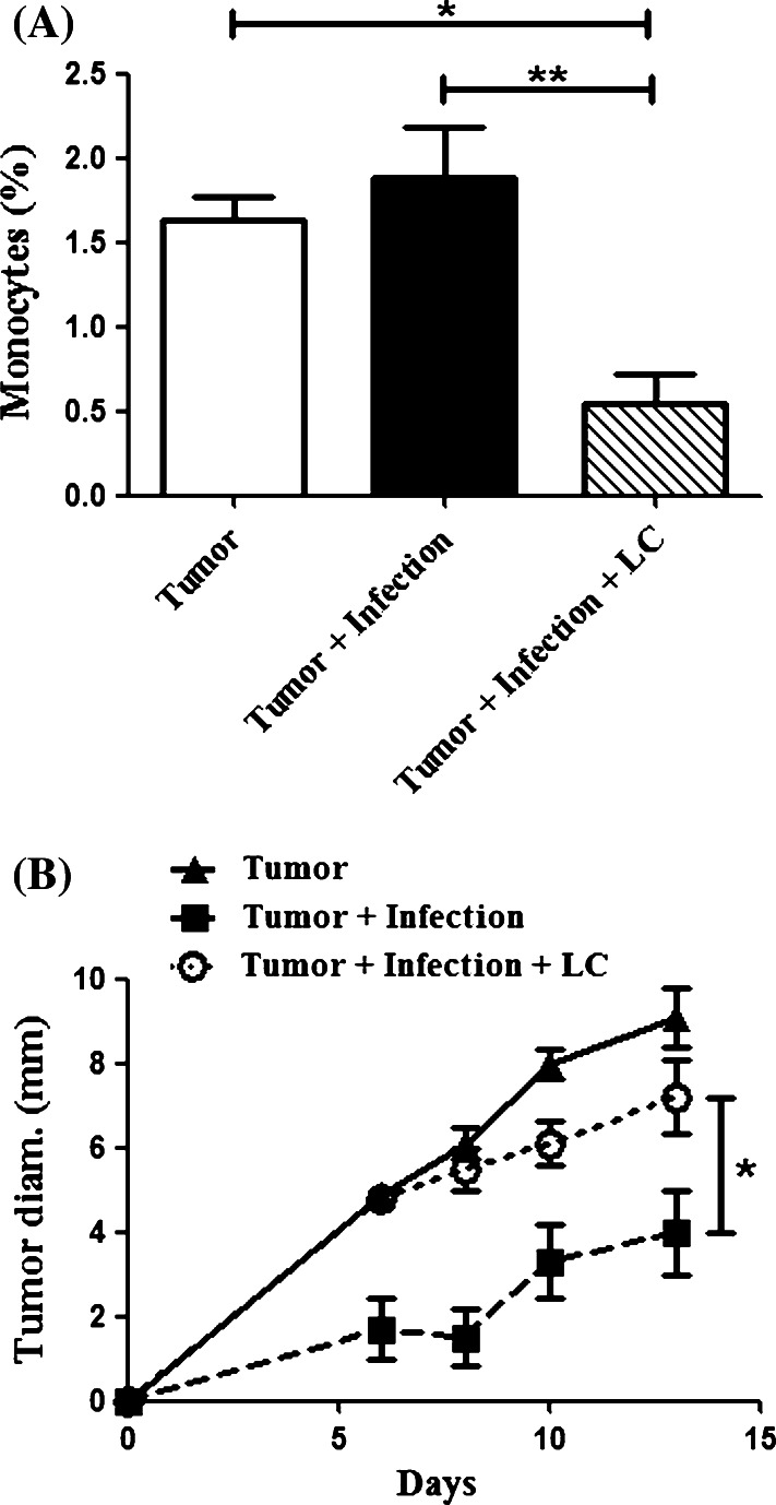 Fig. 7