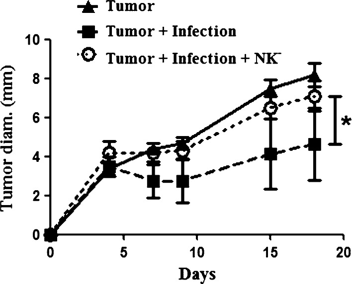 Fig. 4