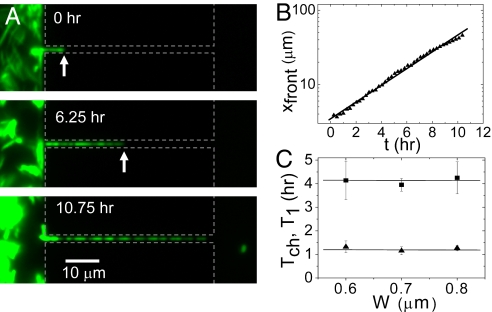 Fig. 3.