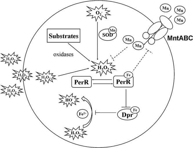 FIG 6