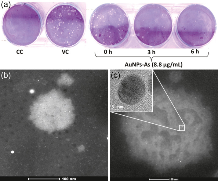 Fig. 17