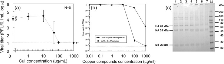 Fig. 10