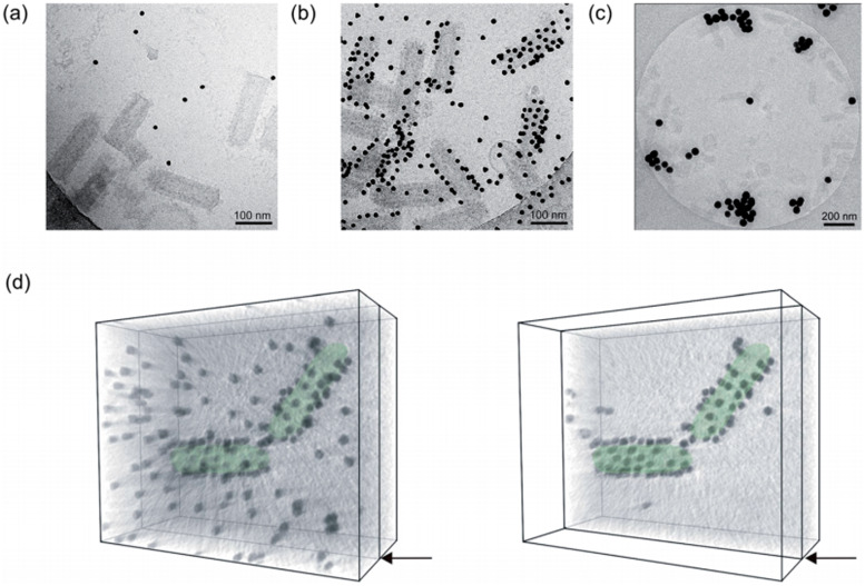 Fig. 19