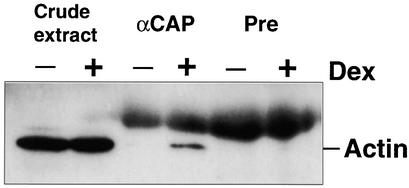 Figure 10.