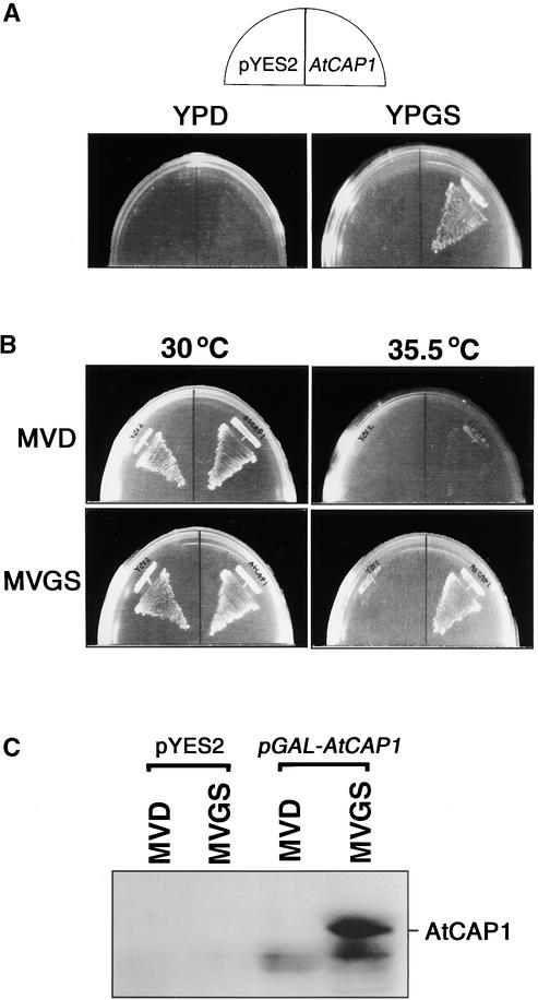 Figure 3.