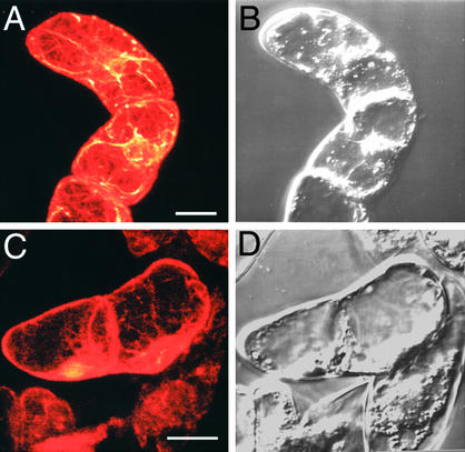 Figure 9.