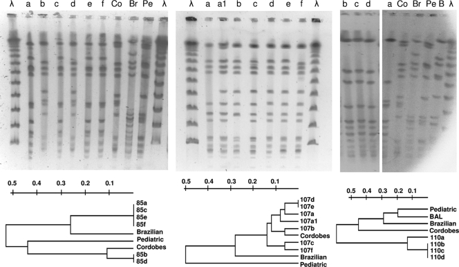 FIG. 1.