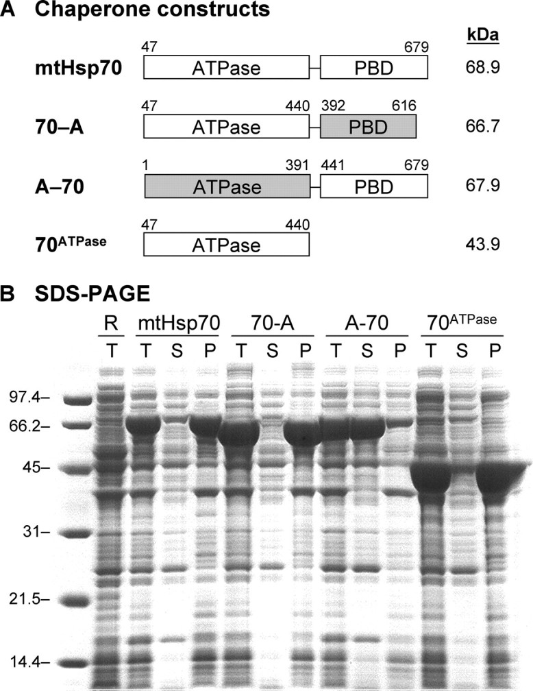 FIGURE 1.