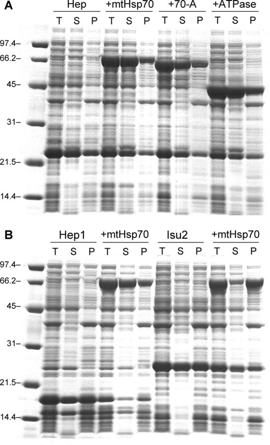 FIGURE 3.