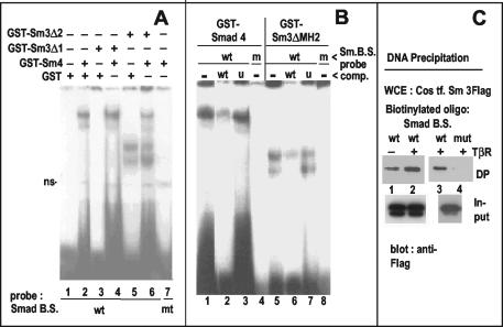 FIG. 5.