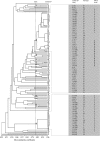 FIG. 1.