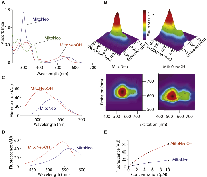 Figure 2