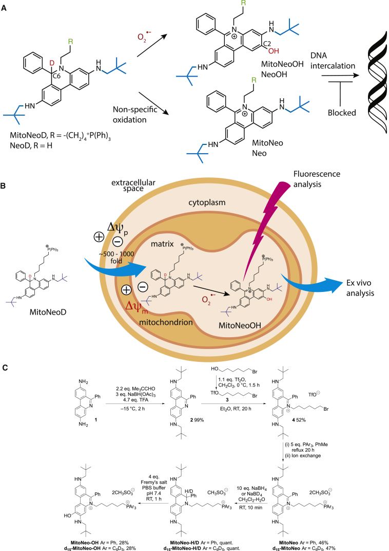 Figure 1