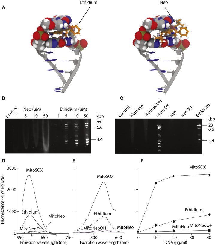 Figure 5