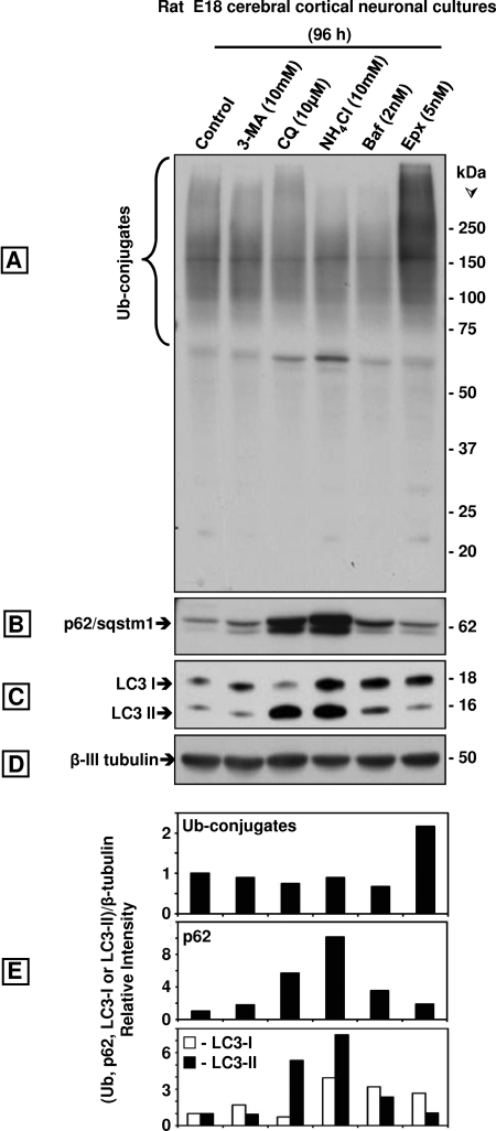 FIGURE 10.