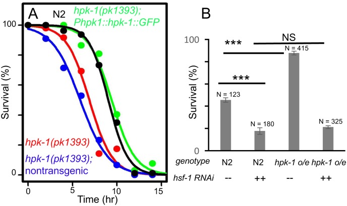 Fig 5