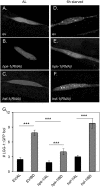 Fig 11