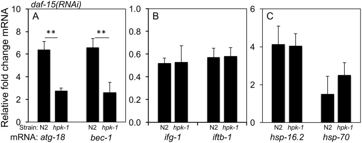 Fig 12