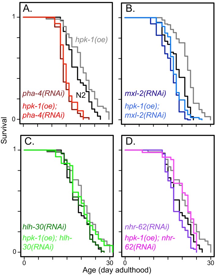 Fig 13