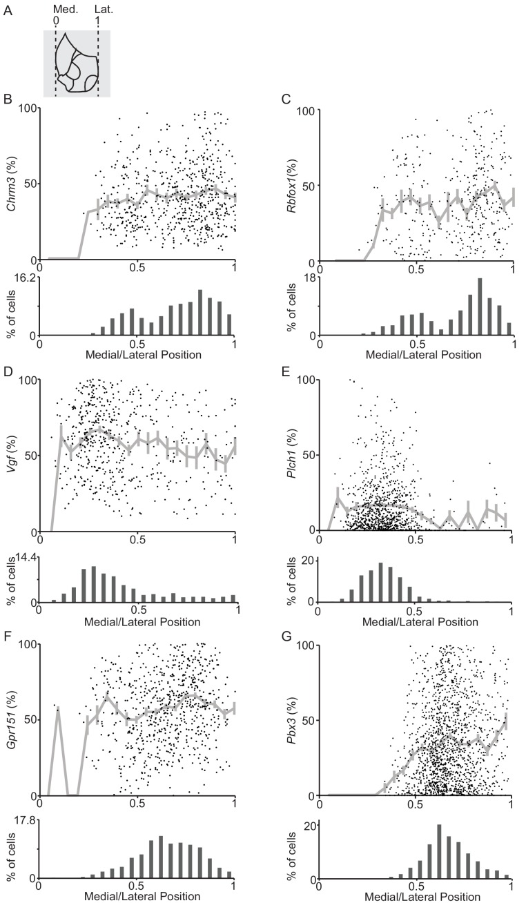 Figure 4—figure supplement 2.