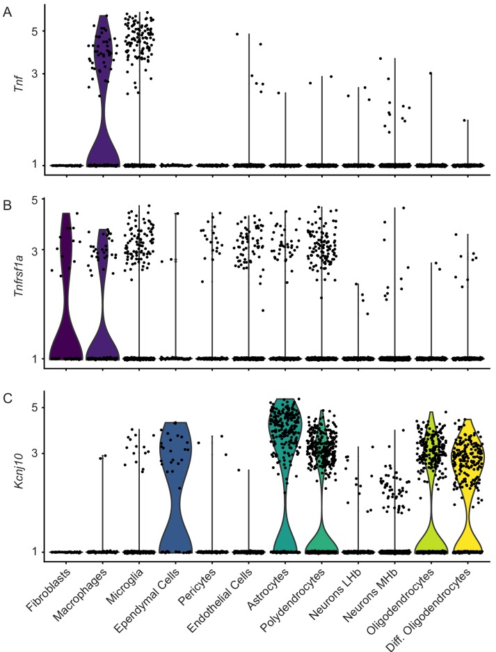 Figure 1—figure supplement 2.