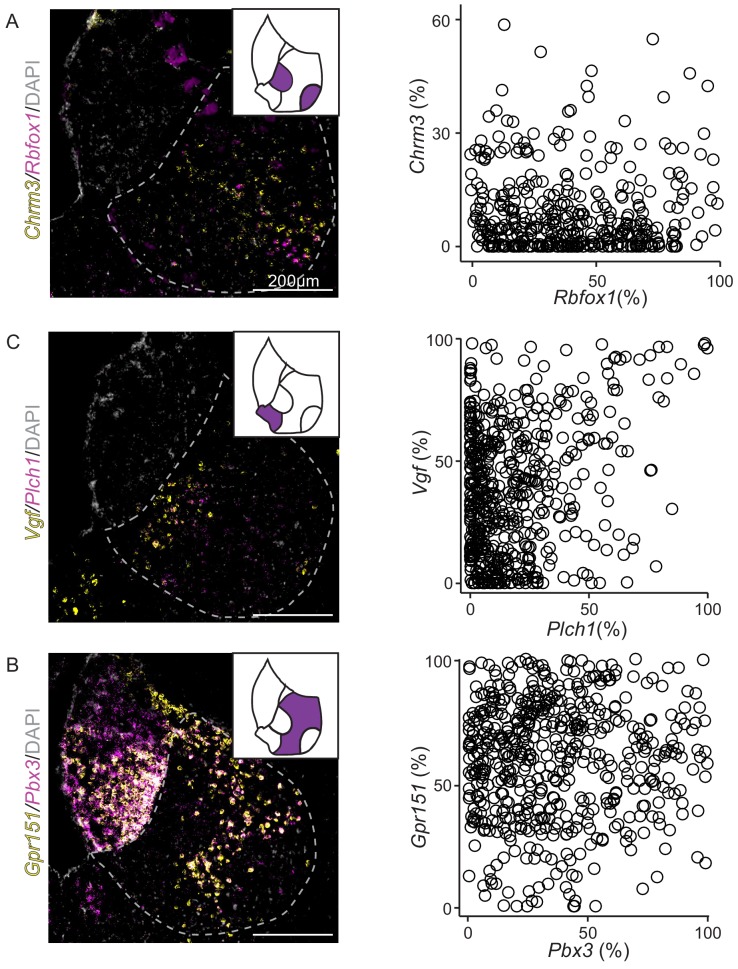 Figure 4—figure supplement 3.