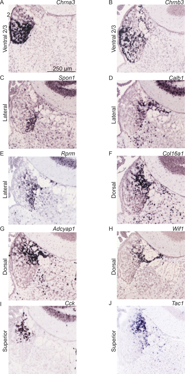 Figure 2—figure supplement 2.