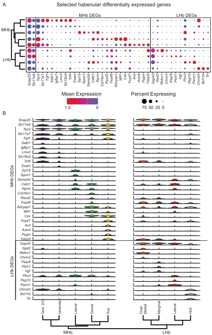 Figure 2—figure supplement 3.