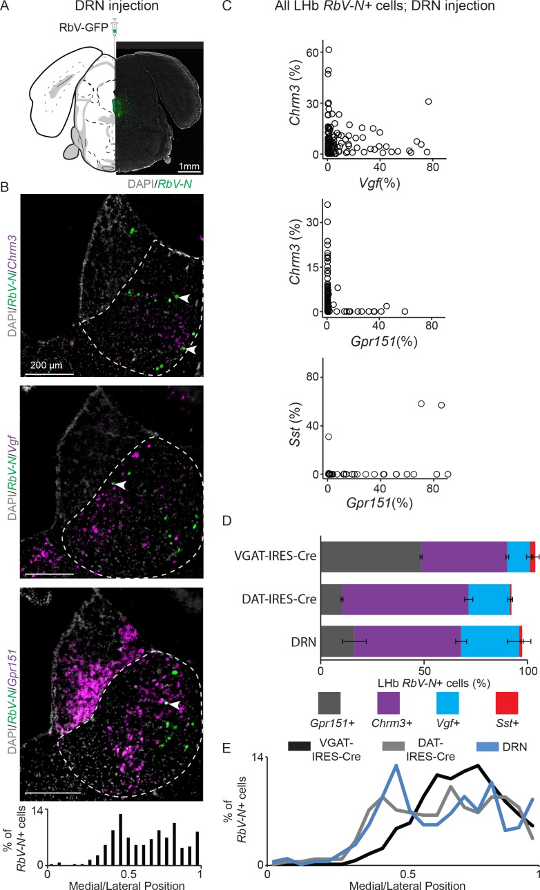 Figure 5—figure supplement 3.