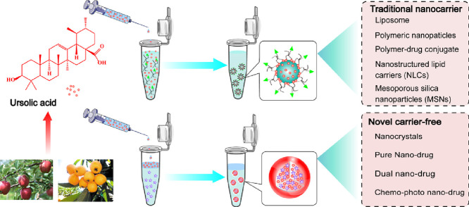 Image, graphical abstract