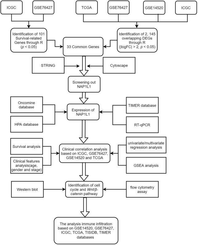 FIGURE 1