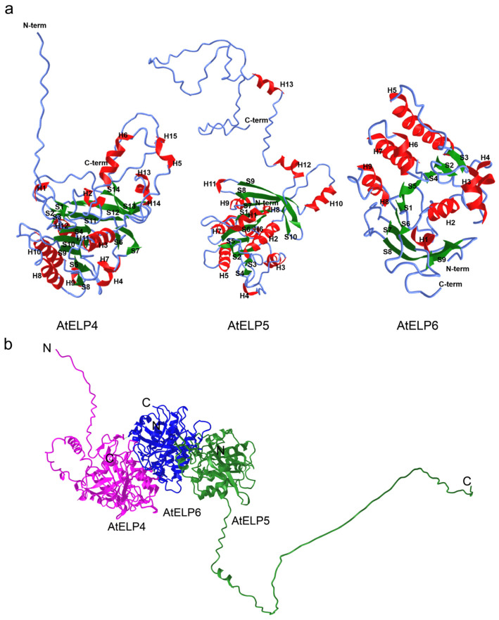 Figure 4