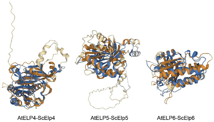 Figure 5
