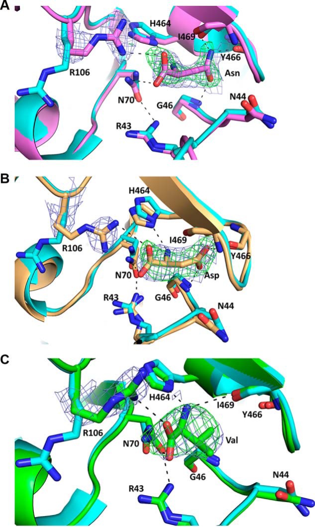 Figure 5.