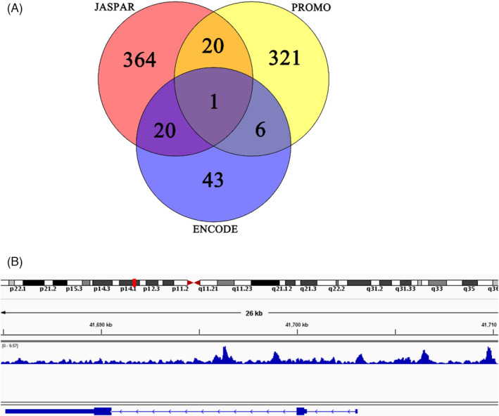 FIGURE 4