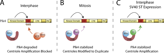 Figure 6.