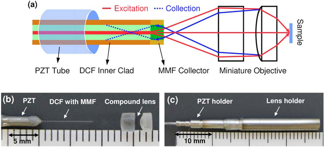 Fig. 1