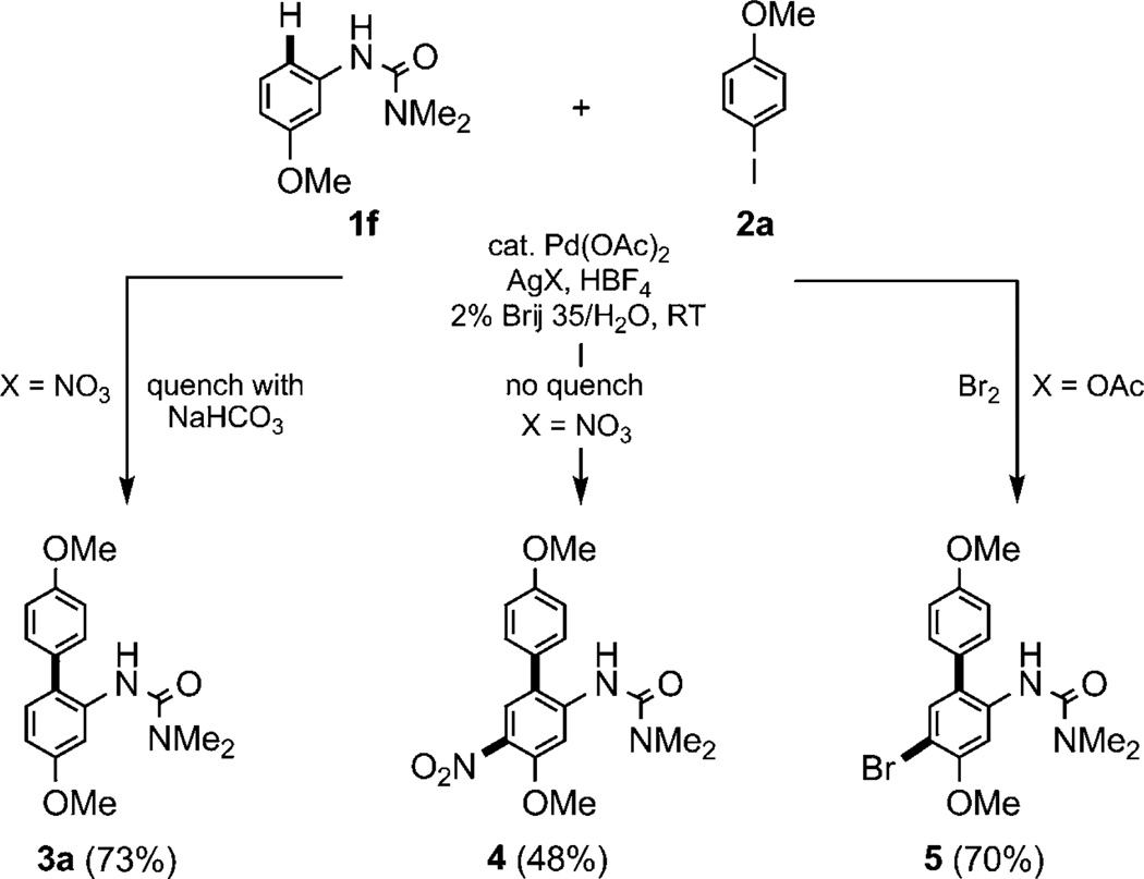 Scheme 3