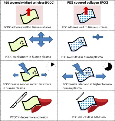 graphic file with name 10856_2018_6078_Figa_HTML.jpg
