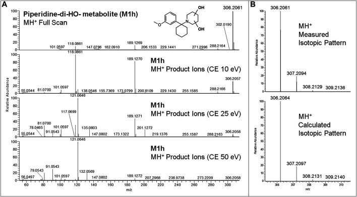 FIGURE 6