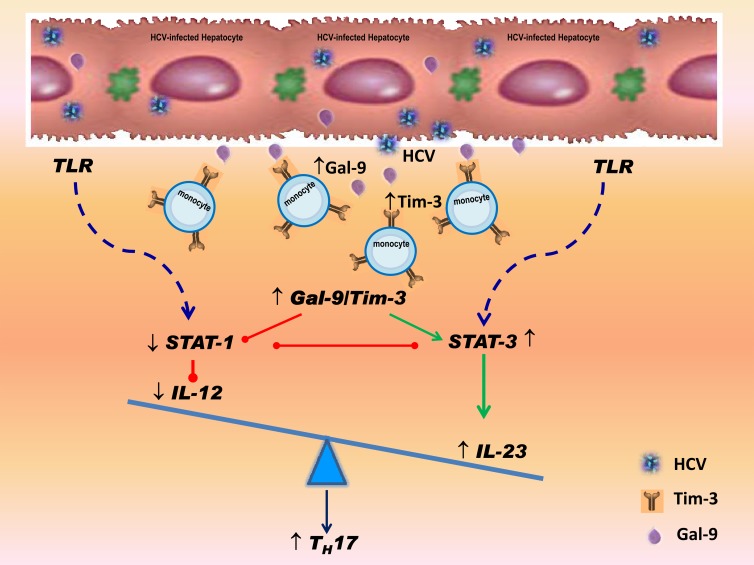 Fig 7