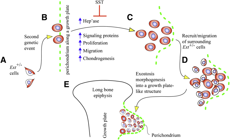 Figure 5