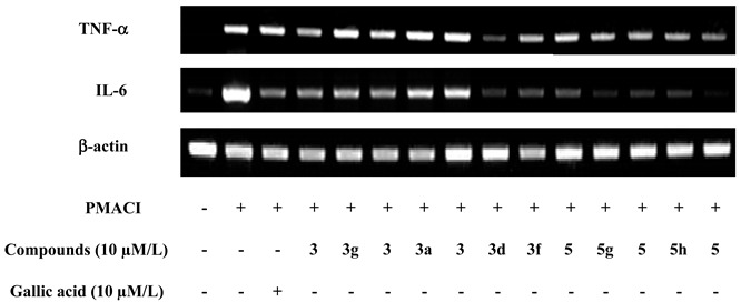 graphic file with name molecules-22-00898-i003.jpg