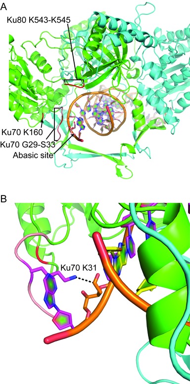 Figure 6.