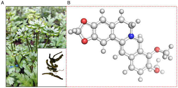 Figure 1.